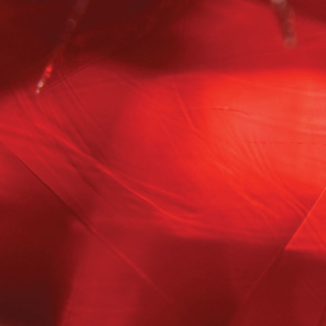 The Burmese Ruby | Faidee