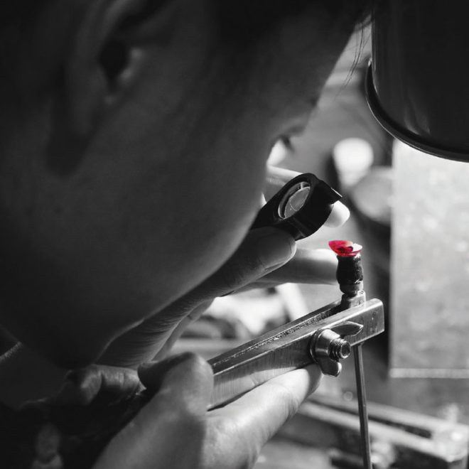 The Perfect Cut | Faidee